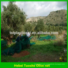 Olivenernte-Netz